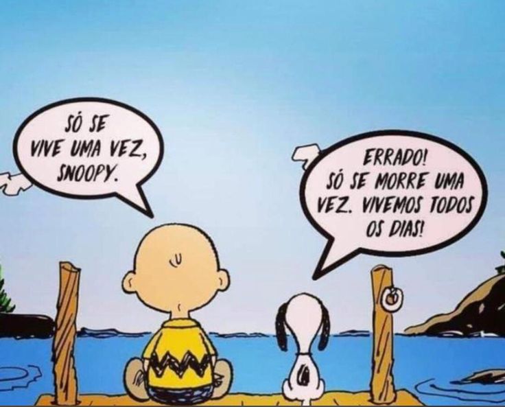 Imagem ilustrativa do tema cuidados paliativos, onde Charlie Brown diz para Snoopy: "Só se vive uma vez, Snoopy" e ele responde que na verdade só se morre uma vez, mas vivemos todos os dias.